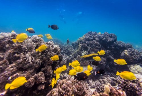 Hawaii,Big Island