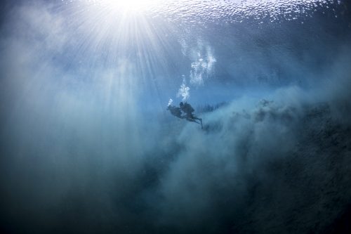 DIVE  2016/22