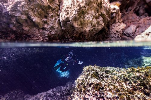 DIVE  2016/22