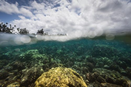 Hawaii, Big Island. oct 2016. Richardson Beach park, very close to the city named Hilo. Richardson’s Ocean (or Beach) Park is the Black Sand Beach closest to Hilo. It is know to the locals as ‘Richardson’s’, and is together with the Kapoho tide pools your best choice if you want to snorkel on the East side of the Island. Because of the tide pools, calm water and picnic area, Richardson’s is a great place to bring your kids.Richardson’s is part of a series of beach parks along Kalaniana’ole (south Hilo). Despite the closeness to Hilo, the weather you find at Richardsons is dryer and clearer than that in Hilo generally. The ocean park is open between 7 a.m. and 7 p.m., and has a lifeguard on duty between those hours. There are also picnic areas, showers, restrooms, parking, telephones, and ponds.Richardsons has a marine conservation area. The ocean here is spring fed by freshwater that also forms many ponds both at the beaches and nearby. The spring water is cold, and the ocean water warm. Combine this with shallow and almost current-free waters and you understand why this is such a good place for snorkeling.