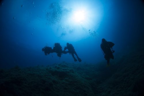 DIVE  2016/22