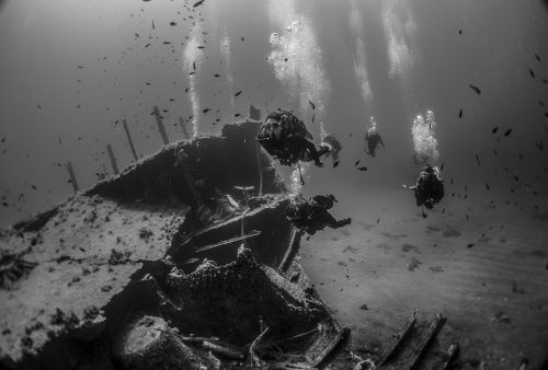 DIVE  2016/22