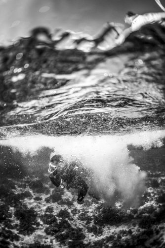 DIVE  2016/22