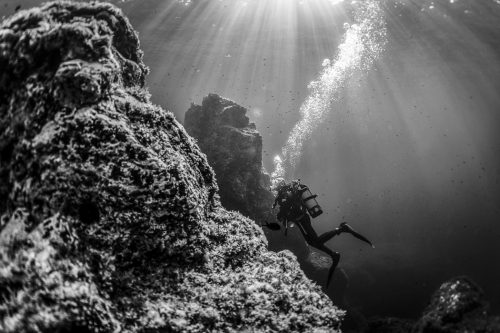 DIVE  2016/22