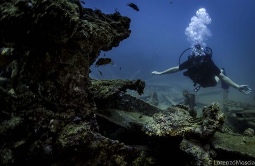 DIVE  2016/22