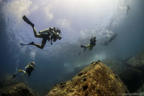 DIVE  2016/22