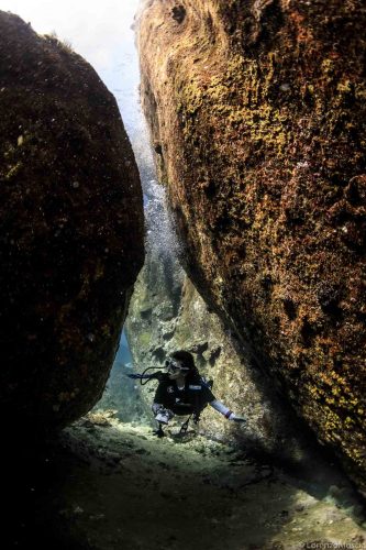 DIVE  2016/22