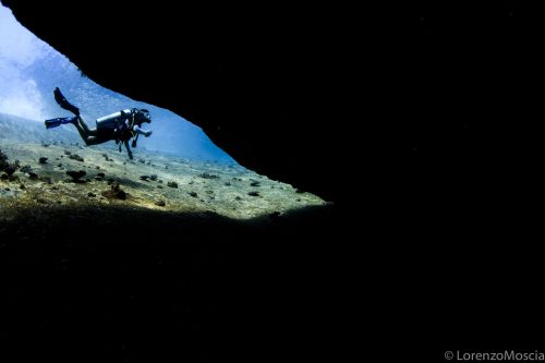 DIVE  2016/22