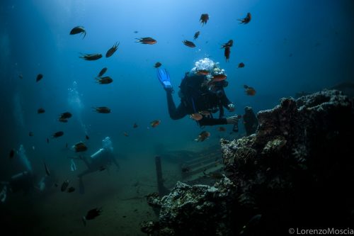 DIVE  2016/22