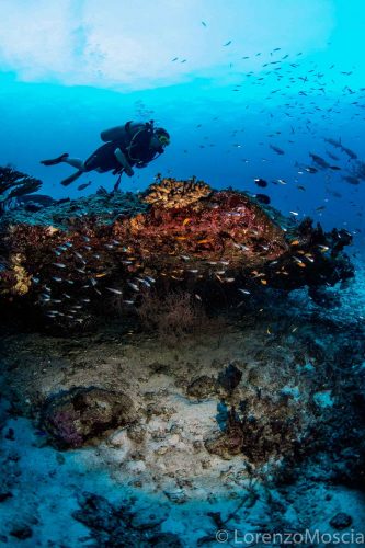 Thailand feb 2018. DIve touring  in the Similan Island.The Similan Islands are located in the Andaman Sea on the West Coast of Southern Thailand