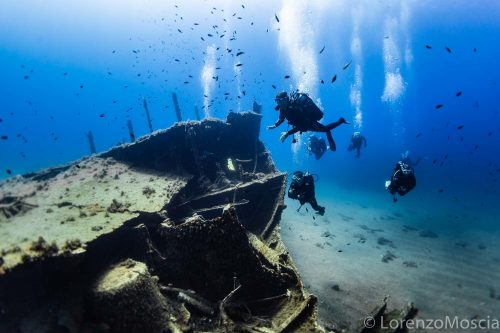 DIVE  2016/22