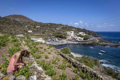 Island of Pantelleria