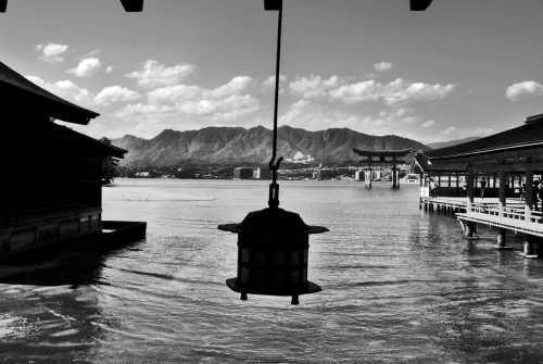 Japan TRIP