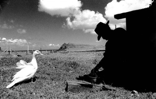 Rapa Nui 1997 - 2011vecchia