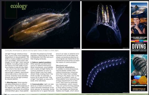 Tear sheets